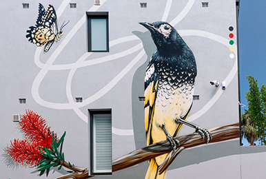 鸟儿画上墙，文化墙墙绘可以这么美